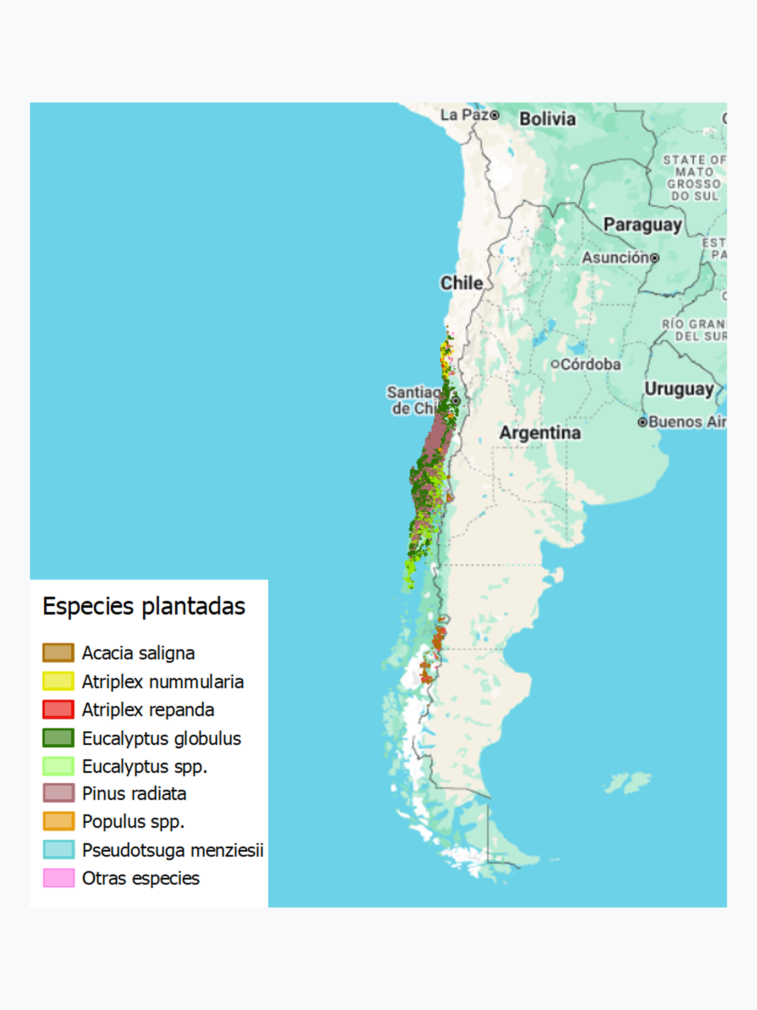 Plantaciones Forestales de Pequeños y Medianos Propietarios (PYMP) - 2018